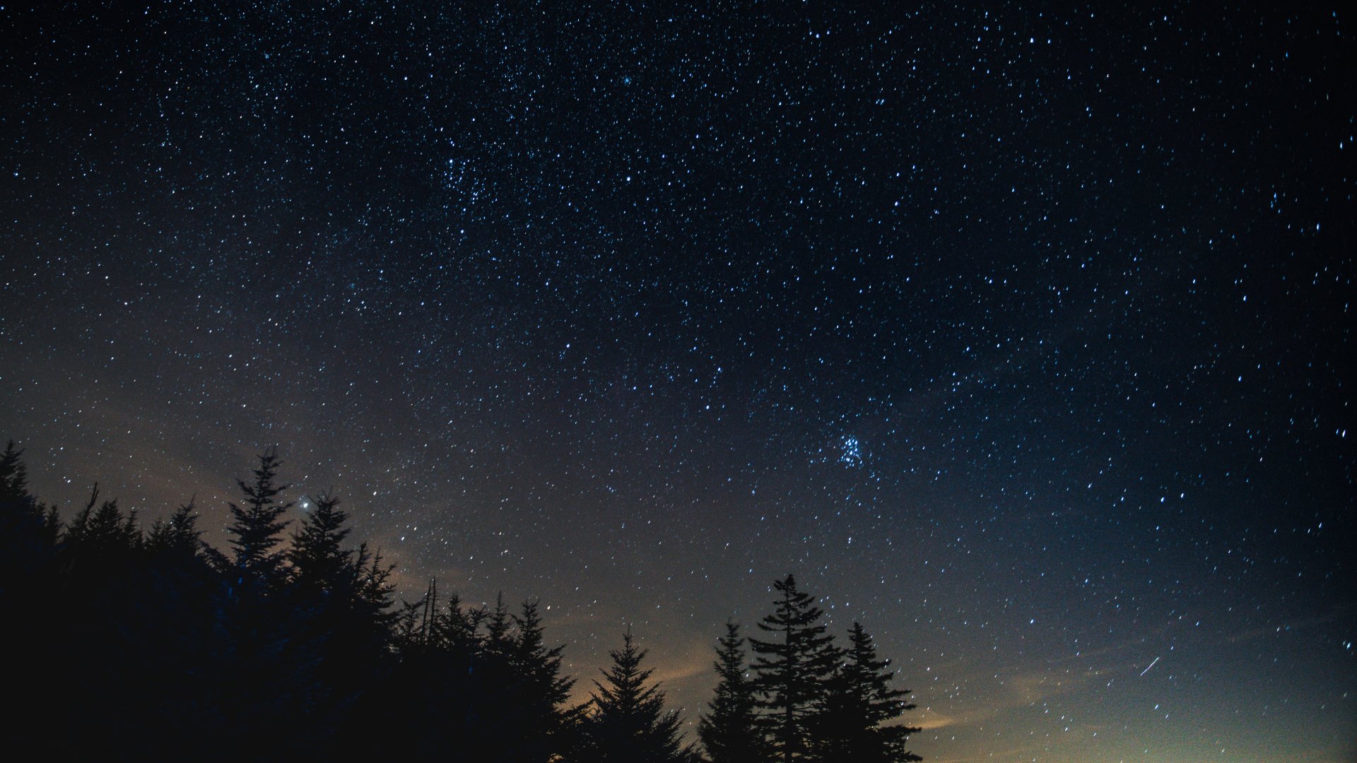 Обои ночь, дерево, природа, атмосфера, звезда в разрешении 1920x1080