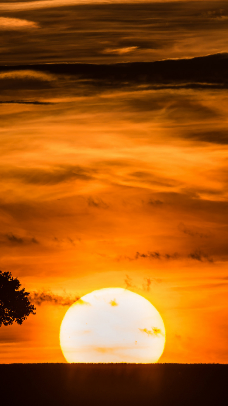 Обои закат, восход солнца, рассвет, горизонт, солнце в разрешении 750x1334