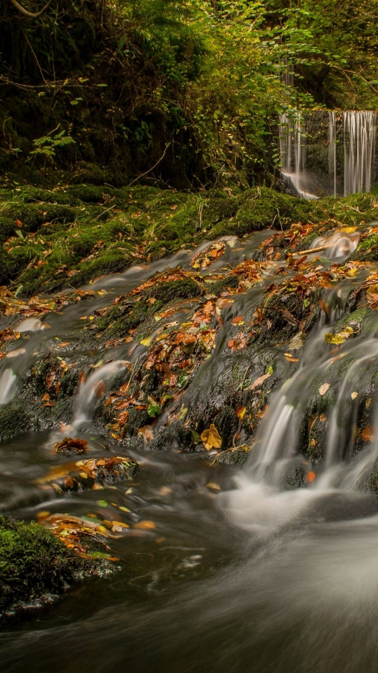 Обои водопад, озеро, природа, водоем, поток в разрешении 750x1334
