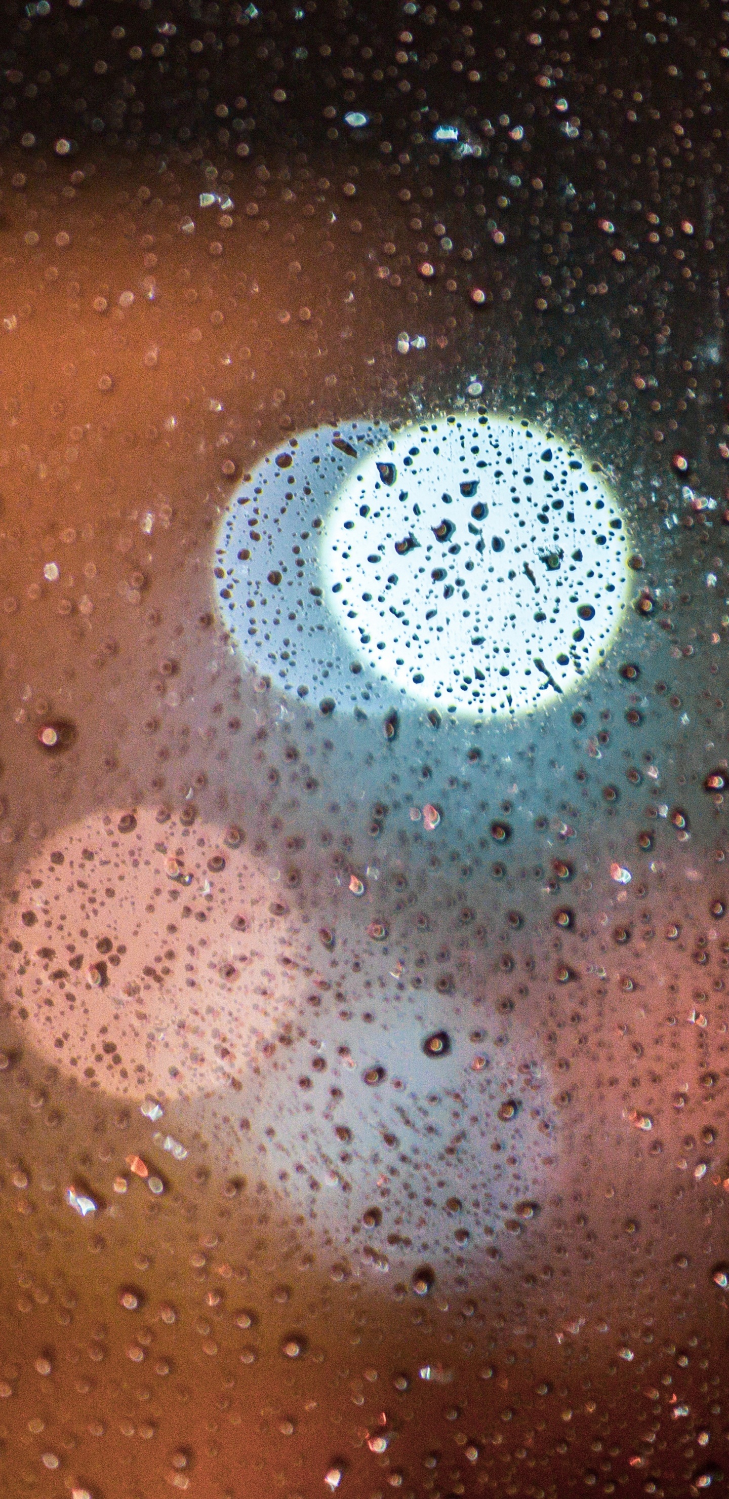 Обои круг, космос, космическое пространство, Астрономия, наука в разрешении 1440x2960