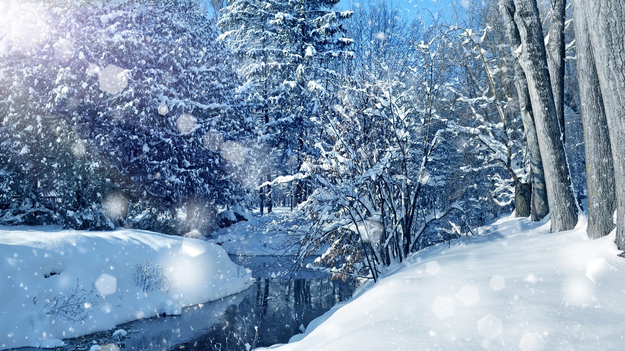 Обои зима, снег, природа, мороз, дерево в разрешении 2560x1440