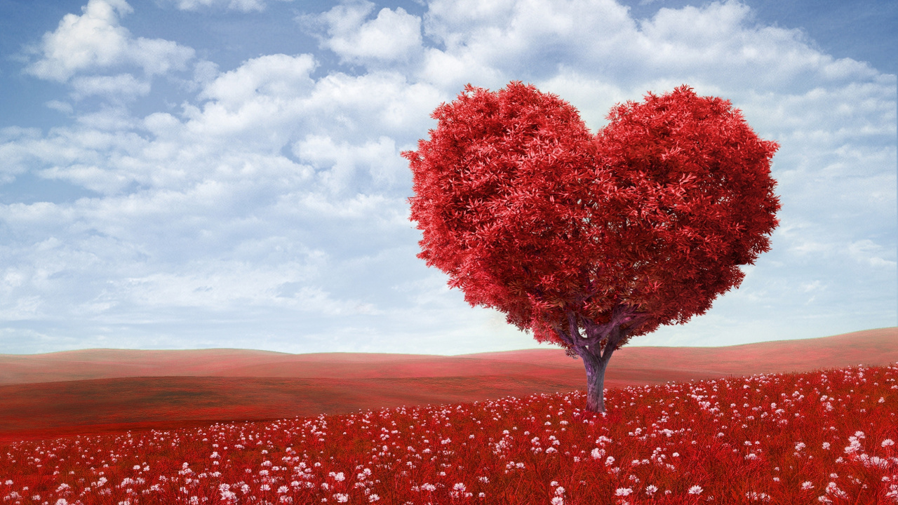 Обои роман, красный цвет, дерево, любовь, чувства в разрешении 1280x720