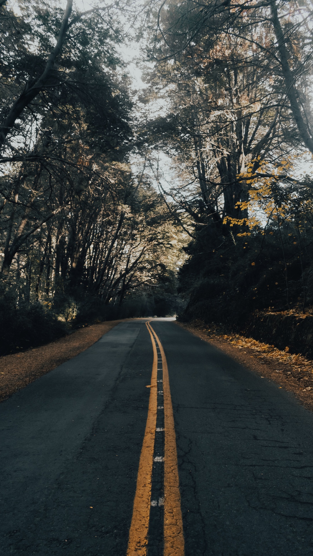 Обои природный ландшафт, инфраструктура, утро, асфальтобетон, асфальт в разрешении 1080x1920