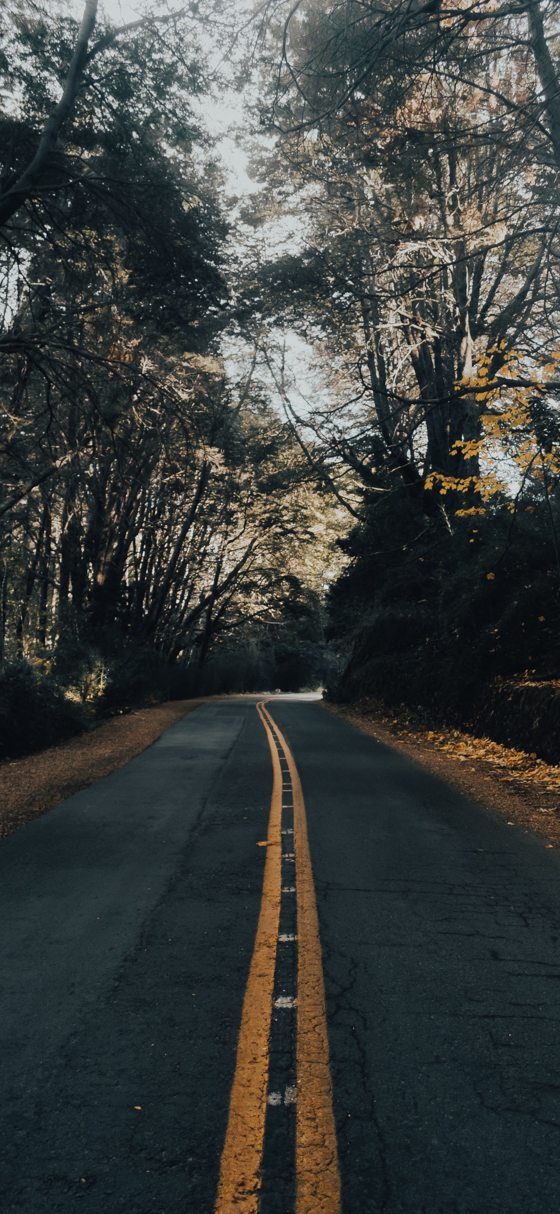 Обои природный ландшафт, инфраструктура, утро, асфальтобетон, асфальт в разрешении 1125x2436