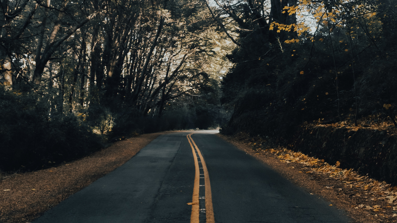 Обои природный ландшафт, инфраструктура, утро, асфальтобетон, асфальт в разрешении 1366x768