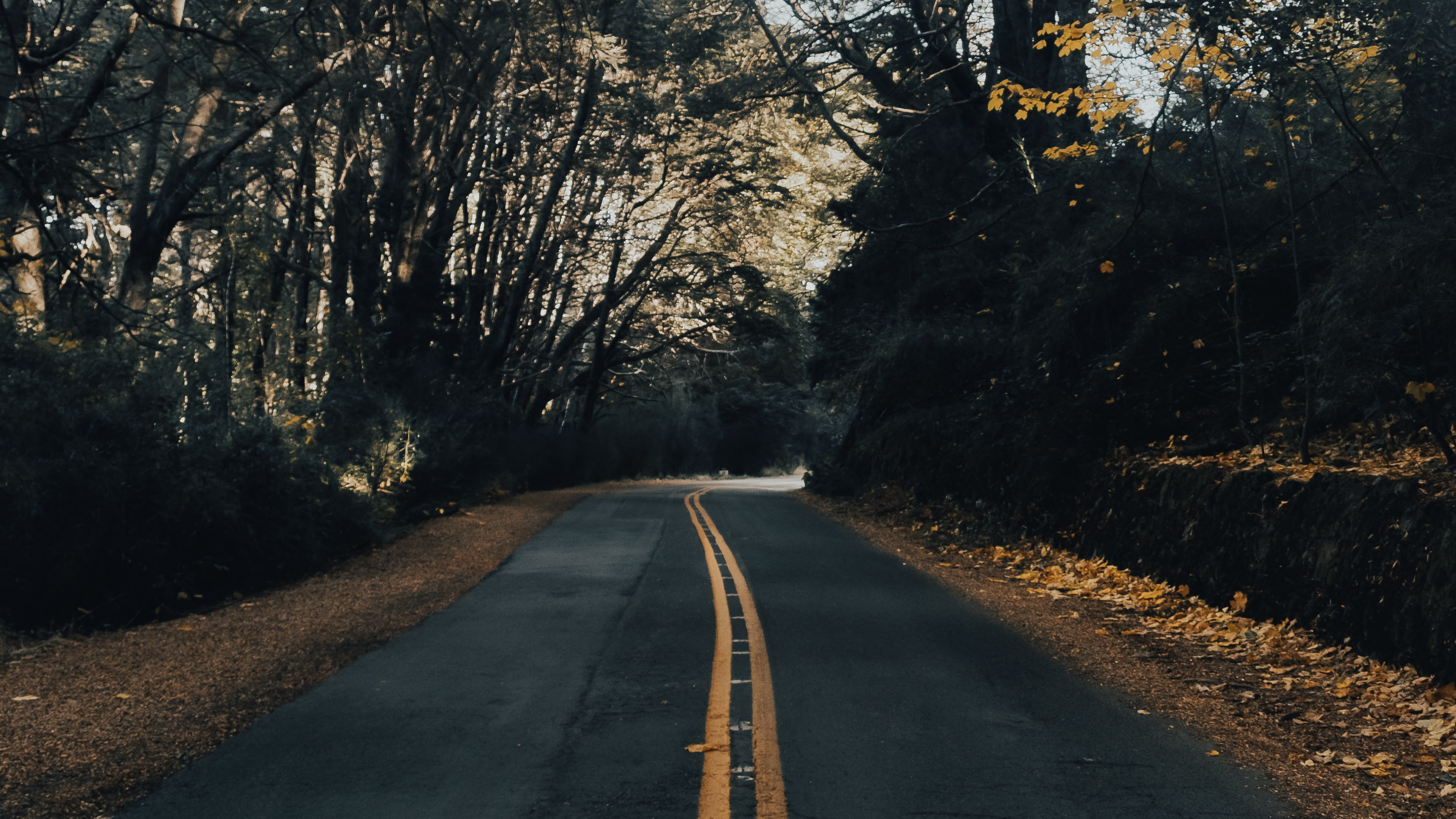 Обои природный ландшафт, инфраструктура, утро, асфальтобетон, асфальт в разрешении 3840x2160