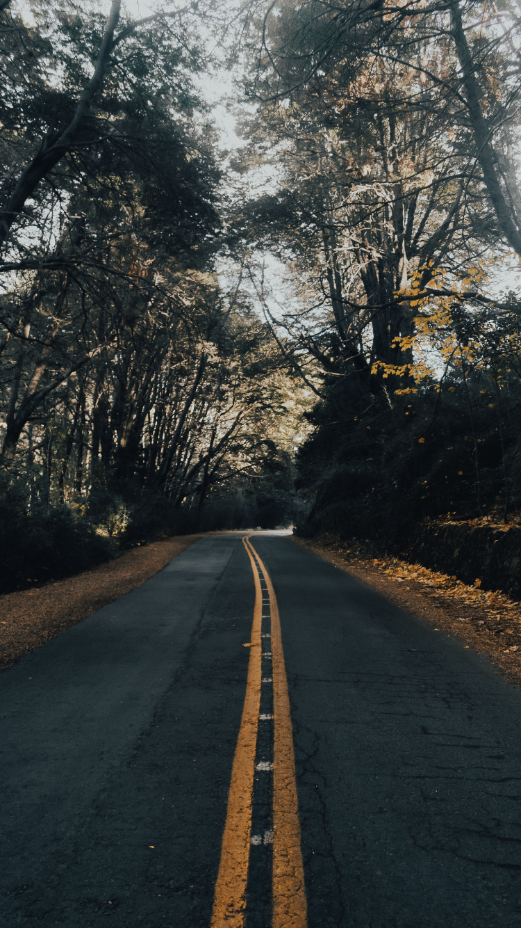 Обои природный ландшафт, инфраструктура, утро, асфальтобетон, асфальт в разрешении 750x1334