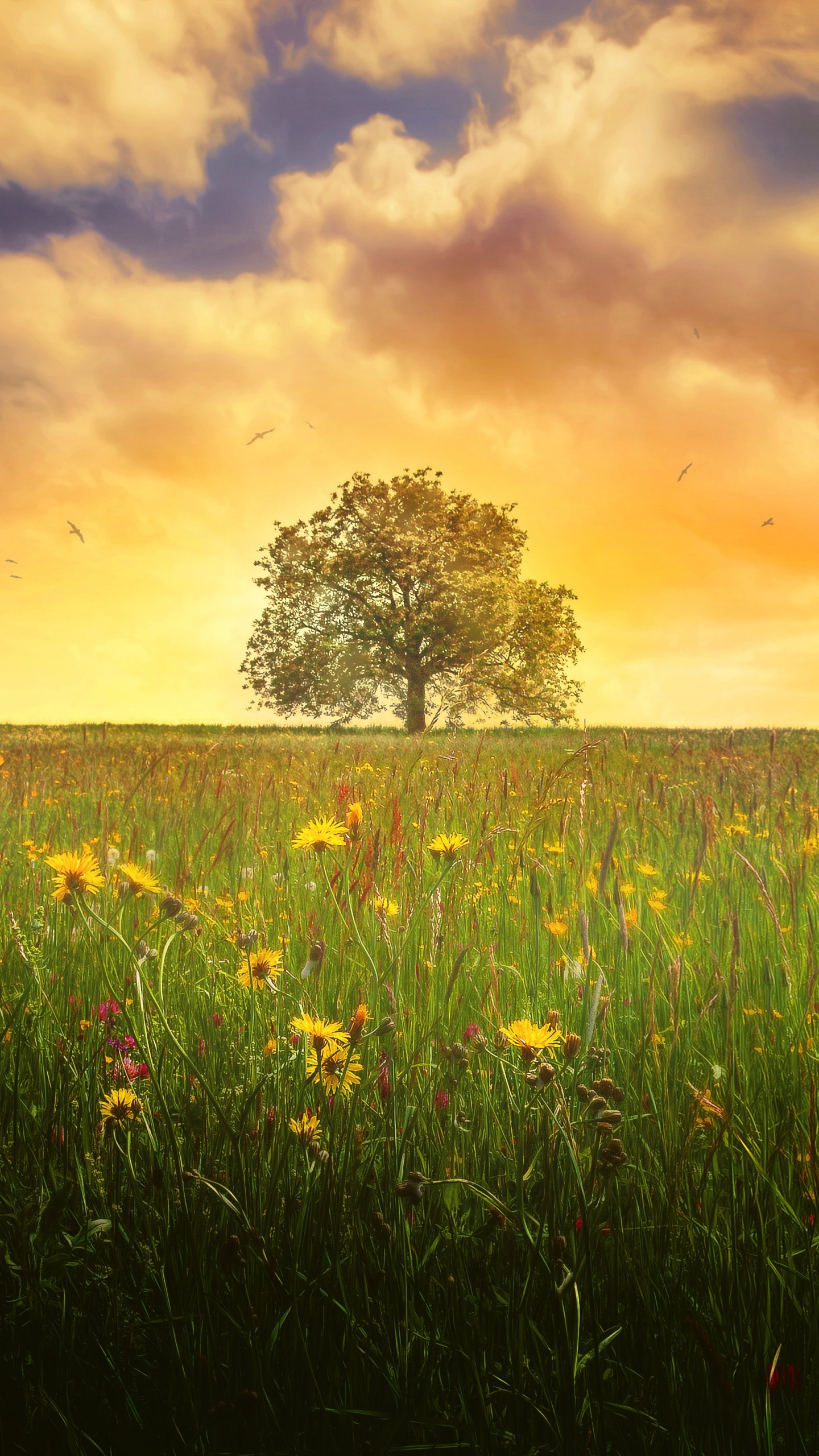 Обои пейзаж, пейзажная живопись, природа, луг, поле в разрешении 1440x2560