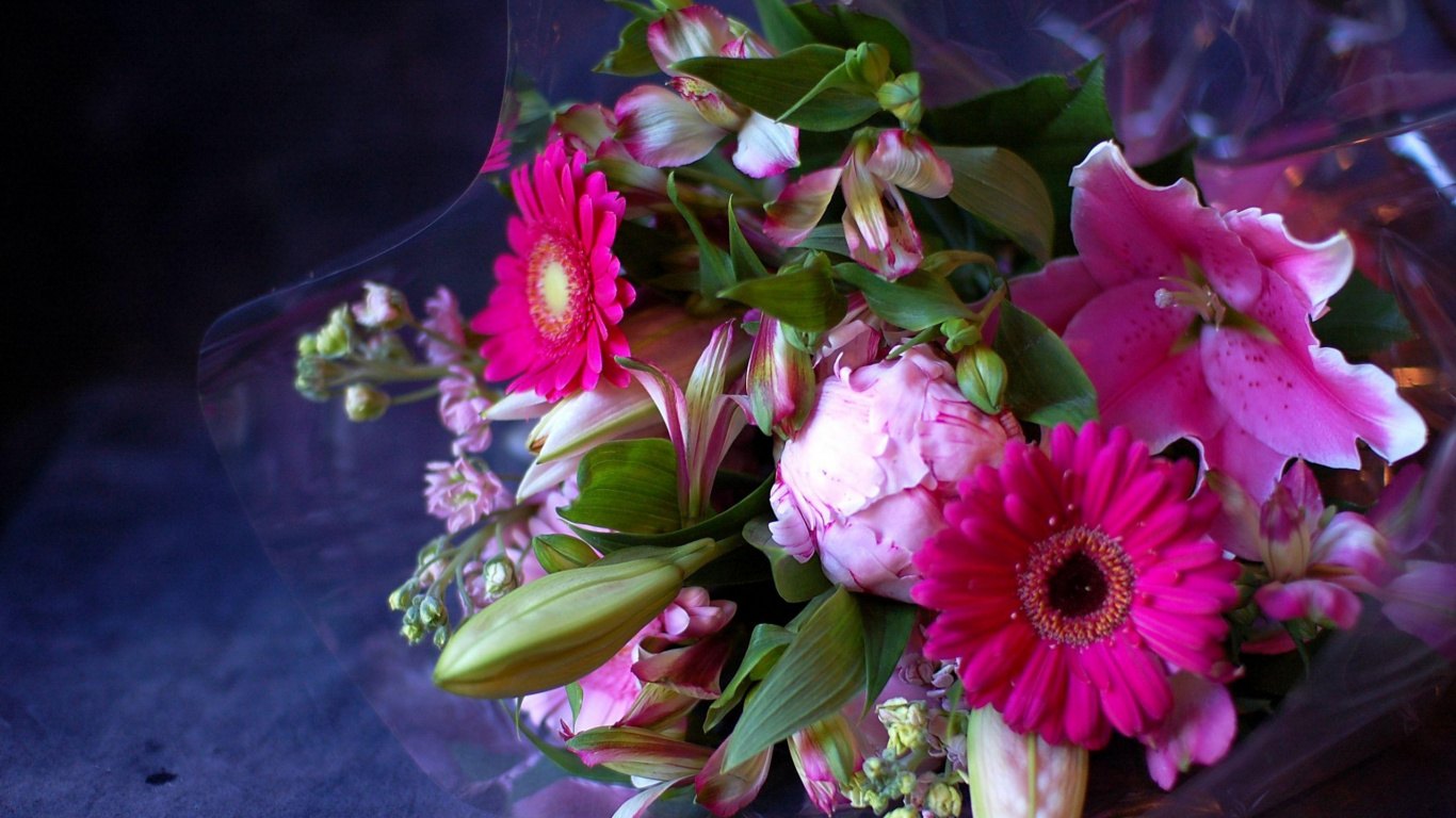 Обои цветочный дизайн, цветочный букет, пион, цветковое растение, сад роз в разрешении 1366x768