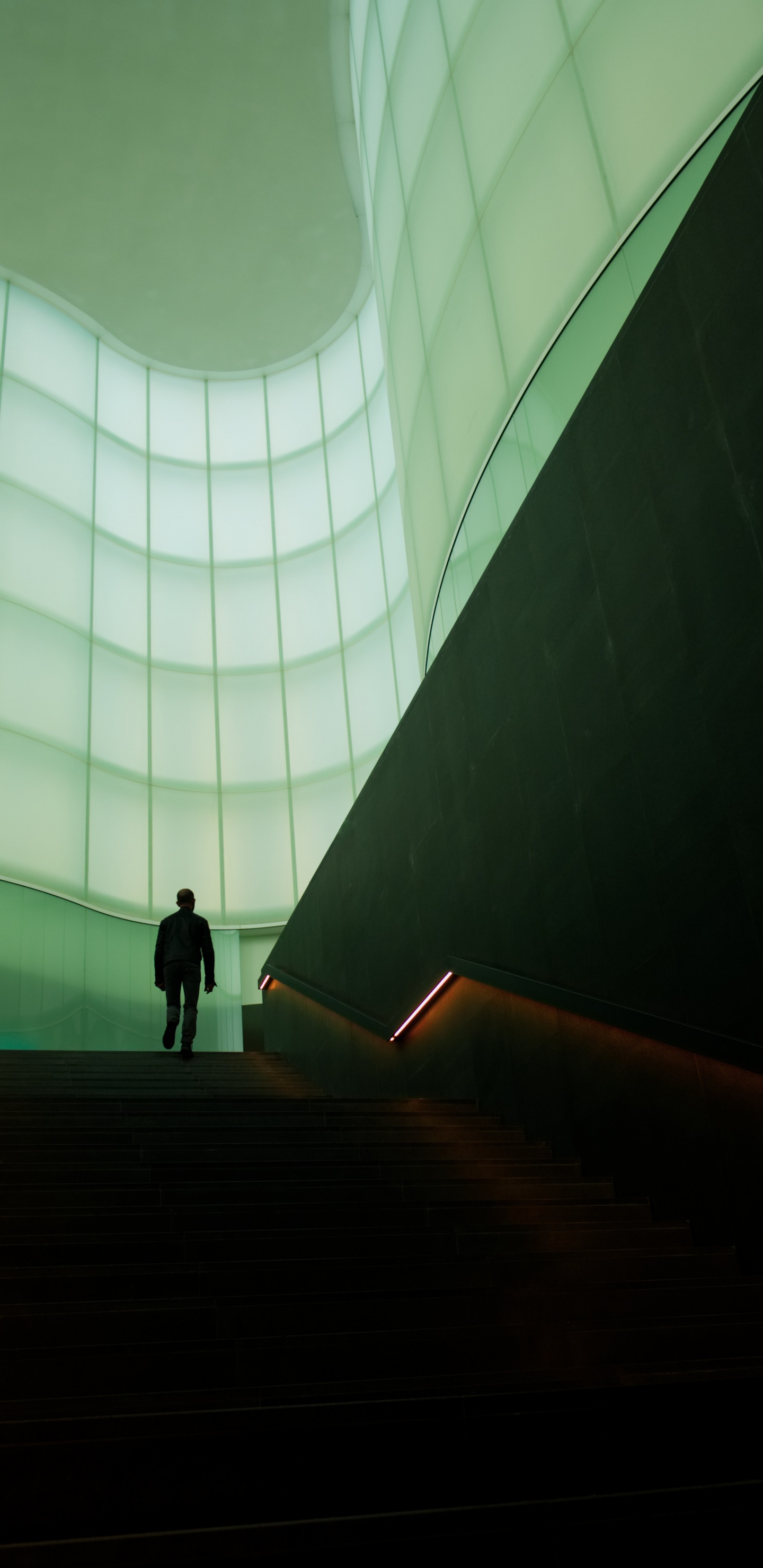 Обои Mudec, снимок, Милан, атмосфера, свет в разрешении 1440x2960