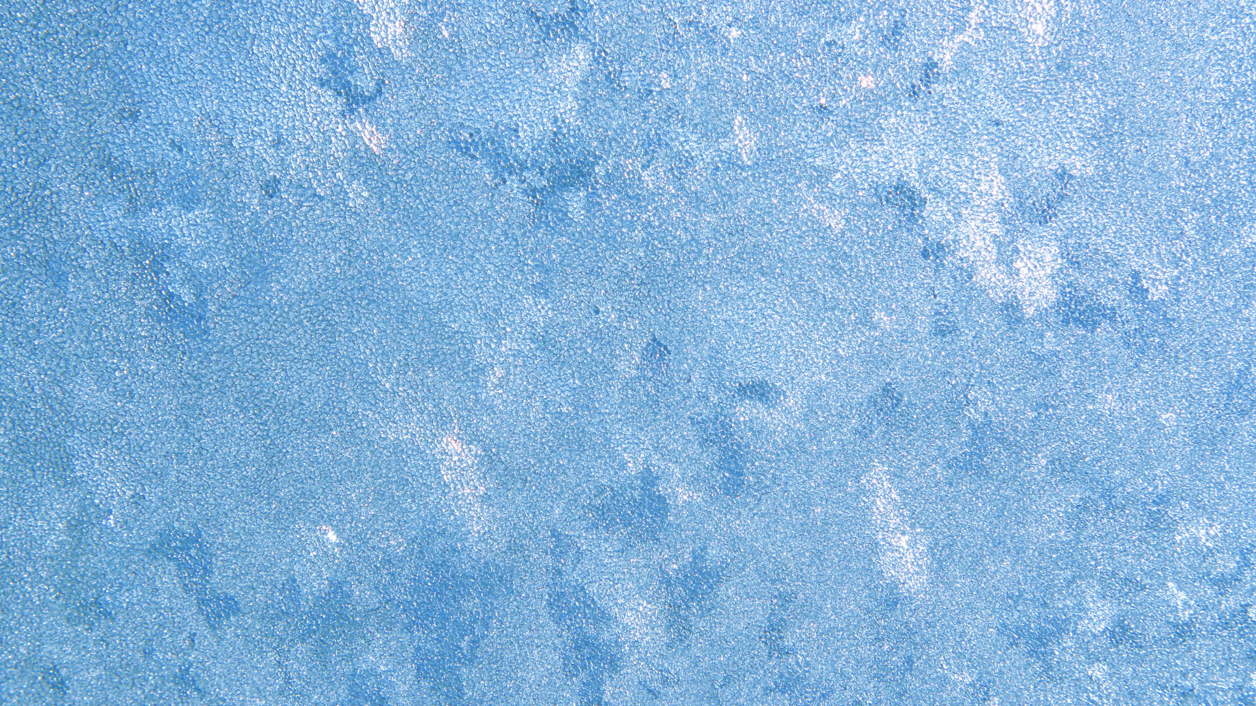 Обои текстура, синий, лазурный, узор, мороз в разрешении 2560x1440