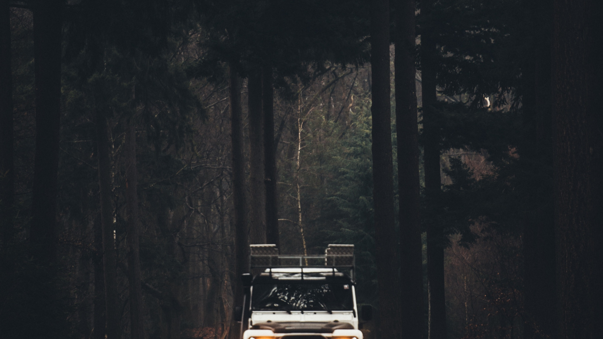 Обои легковые автомобили, джип, спорткар, мир, лоб в разрешении 1920x1080