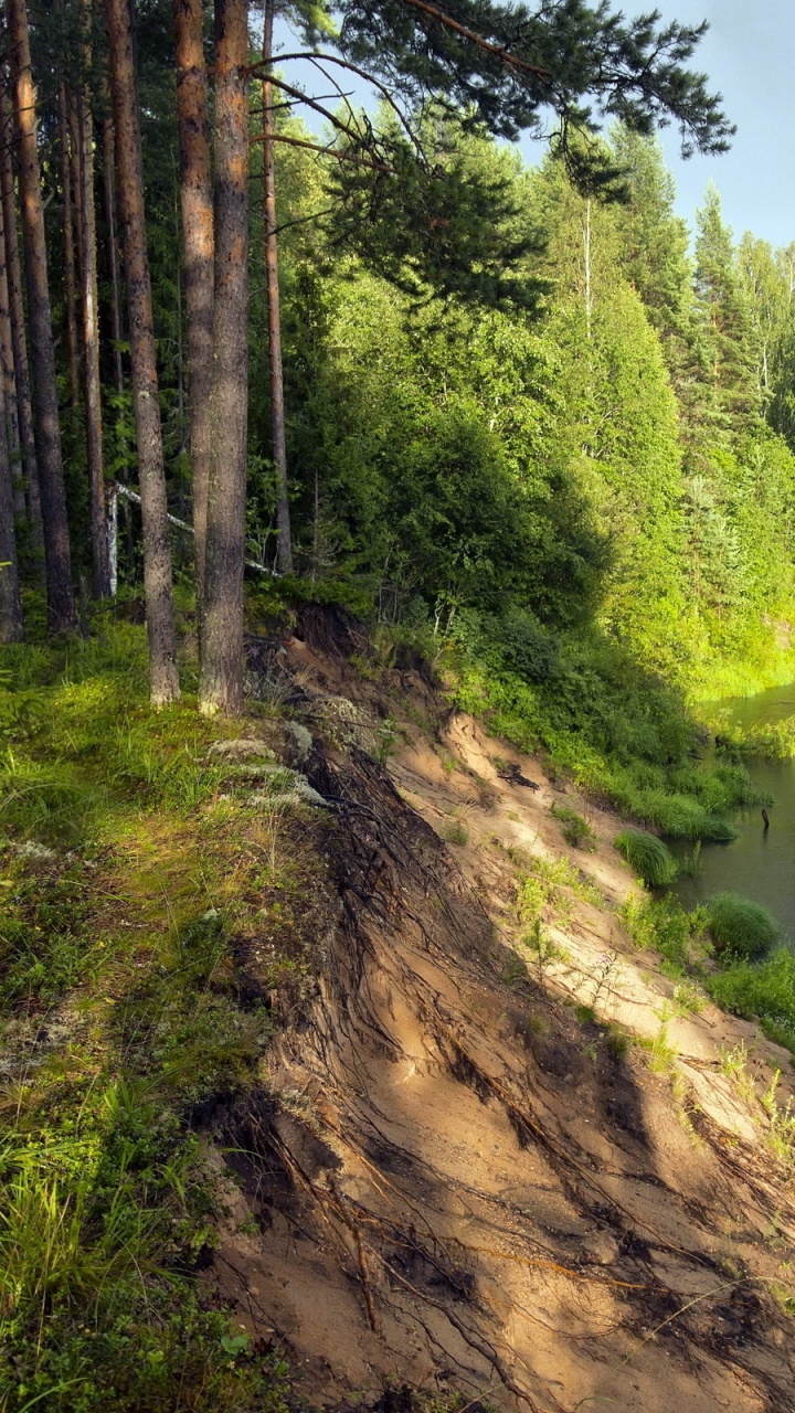 Обои реки, гидроресурсы, природа, прибрежные зоны, Банк в разрешении 720x1280