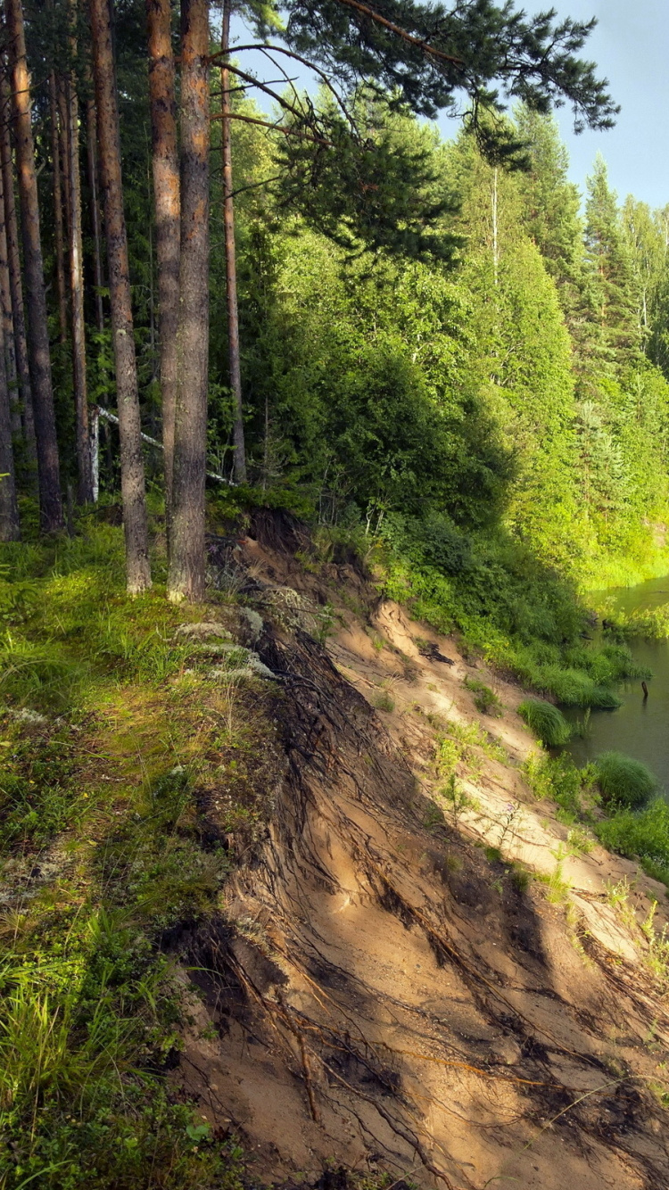 Обои реки, гидроресурсы, природа, прибрежные зоны, Банк в разрешении 750x1334