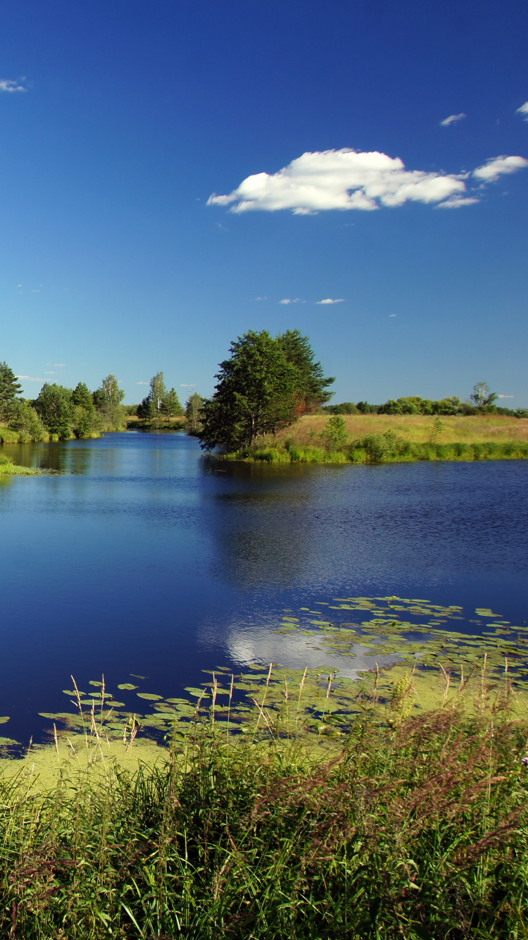 Обои реки, лето, природа, гидроресурсы, отражение в разрешении 750x1334