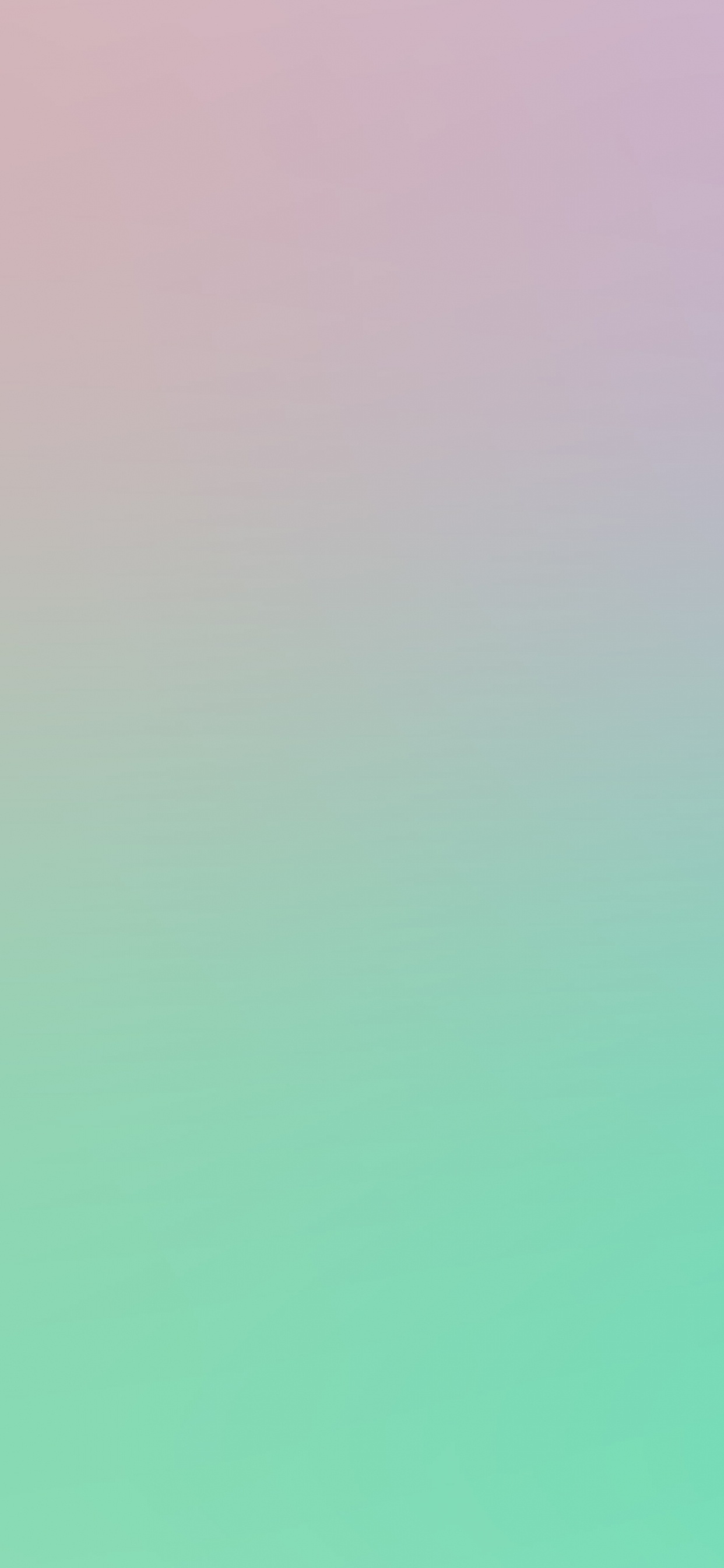 Обои Зеленые и фиолетовые пастельные обои, зеленый, торт, цвет, коричневый цвет в разрешении 1242x2688