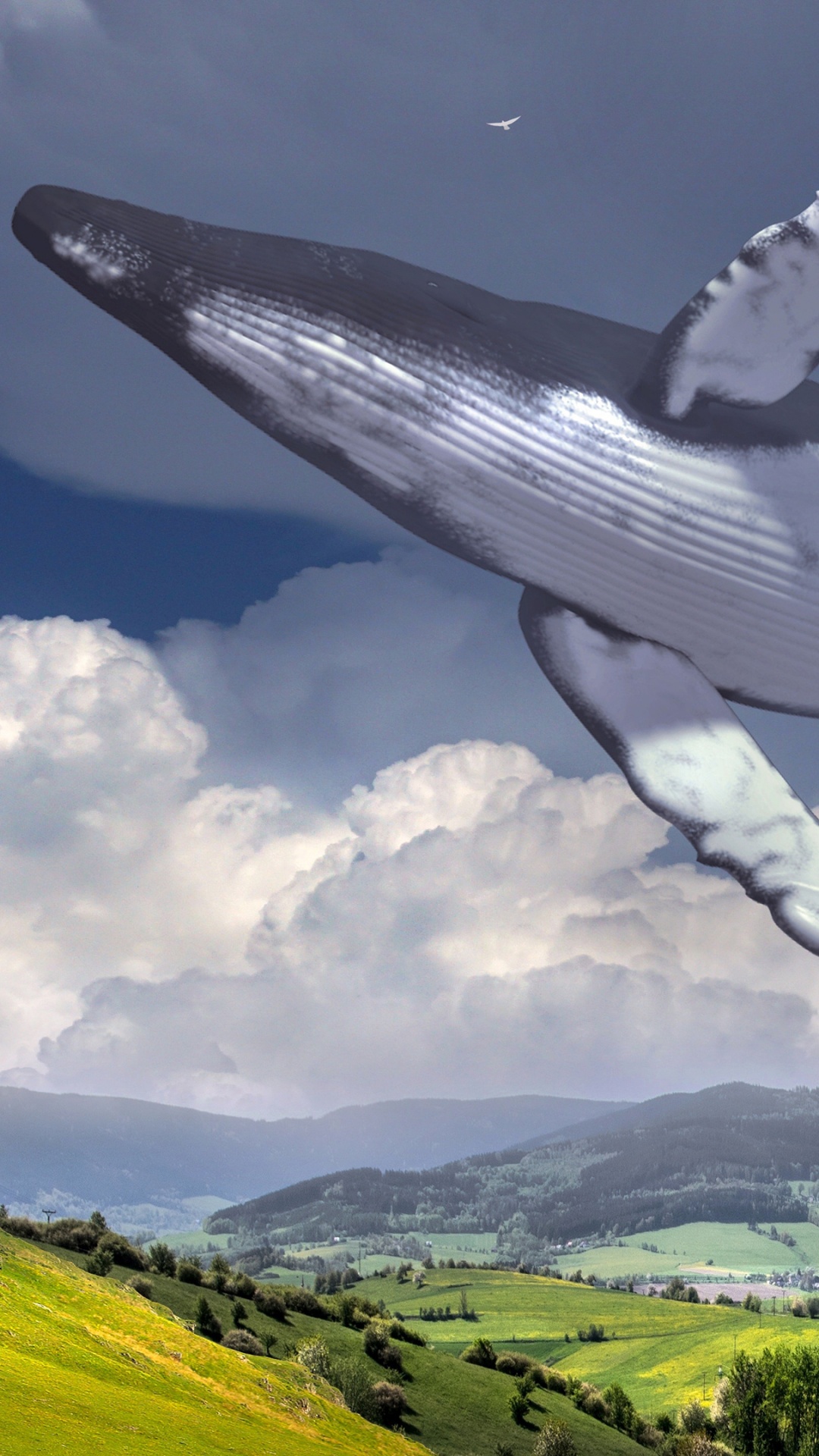 Обои сюрреализм, облако, зеленый, птица, природа в разрешении 1080x1920