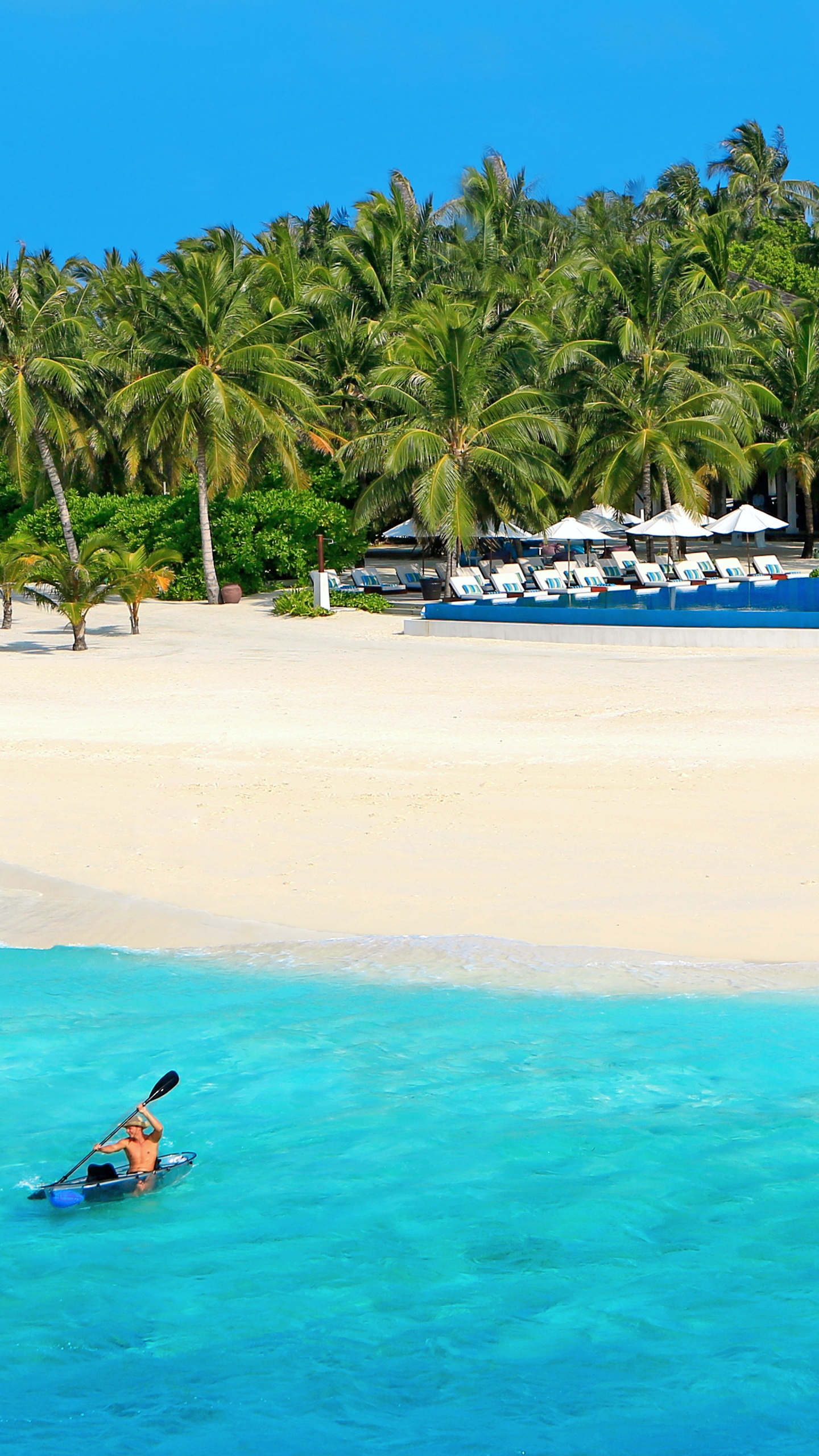 Обои Велассару Мальдивы, Тза, Ари Атолл, пляж, прибежище в разрешении 1440x2560