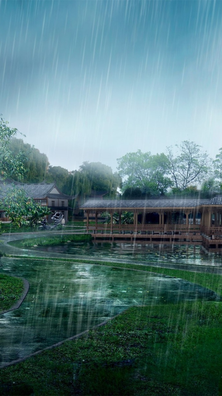 Обои природа, вода, гидроресурсы, пейзаж, дерево в разрешении 720x1280