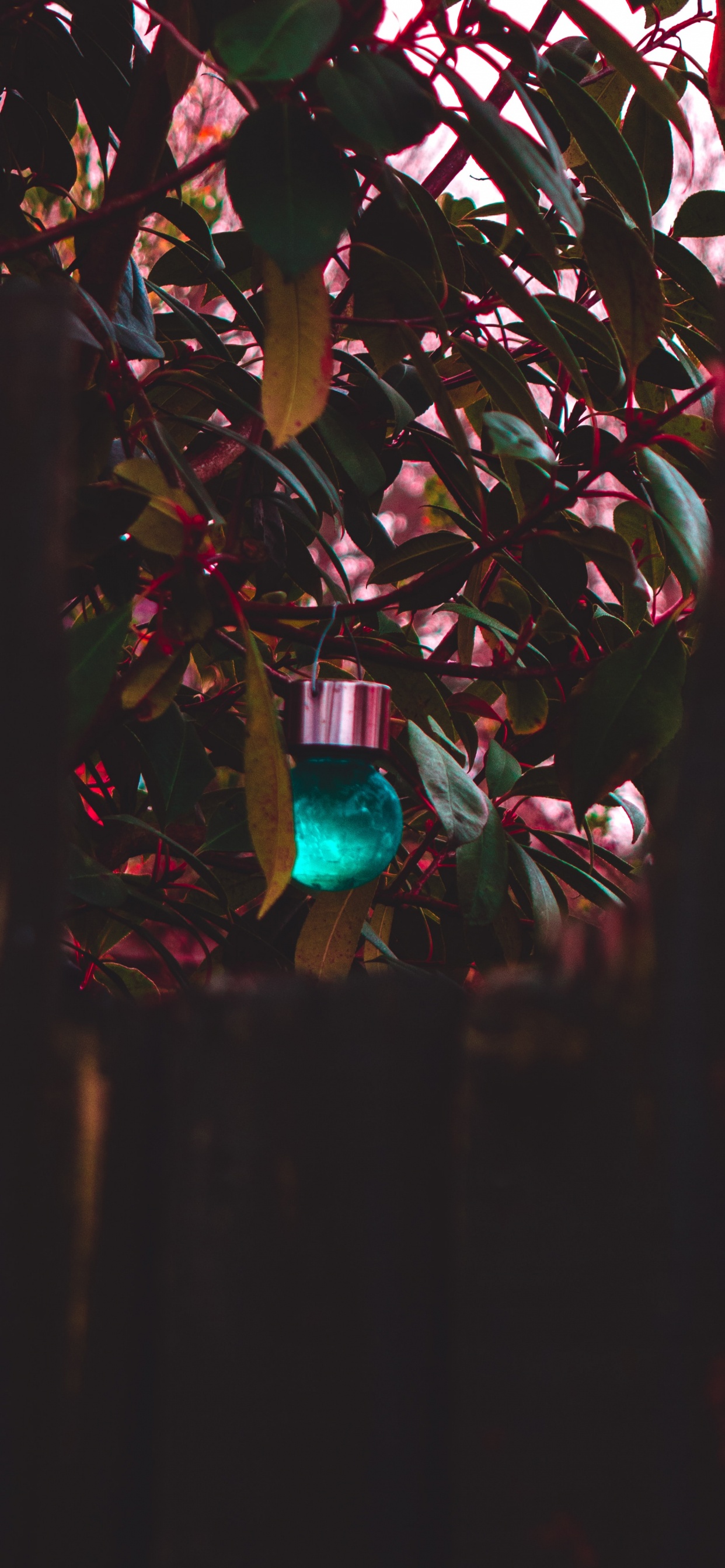 Обои свет, стекло, комната, небо, освещение в разрешении 1242x2688