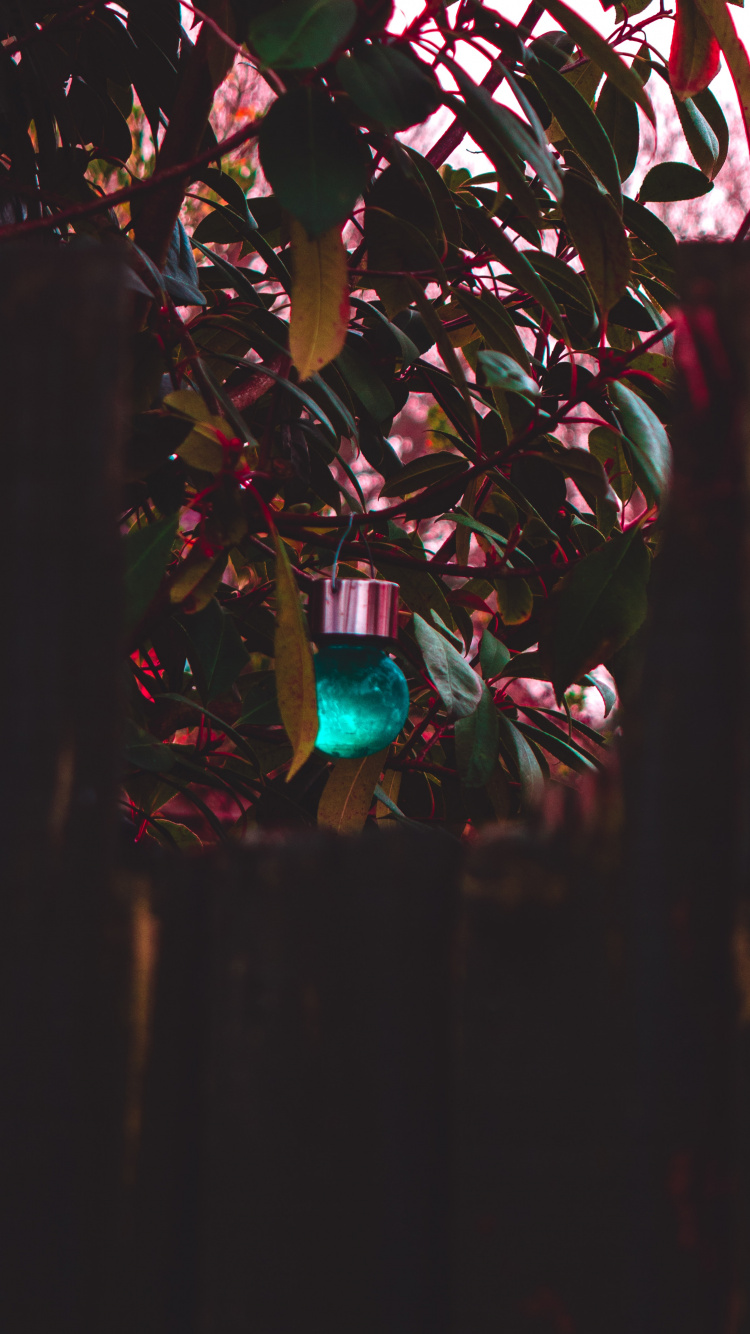 Обои свет, стекло, комната, небо, освещение в разрешении 750x1334