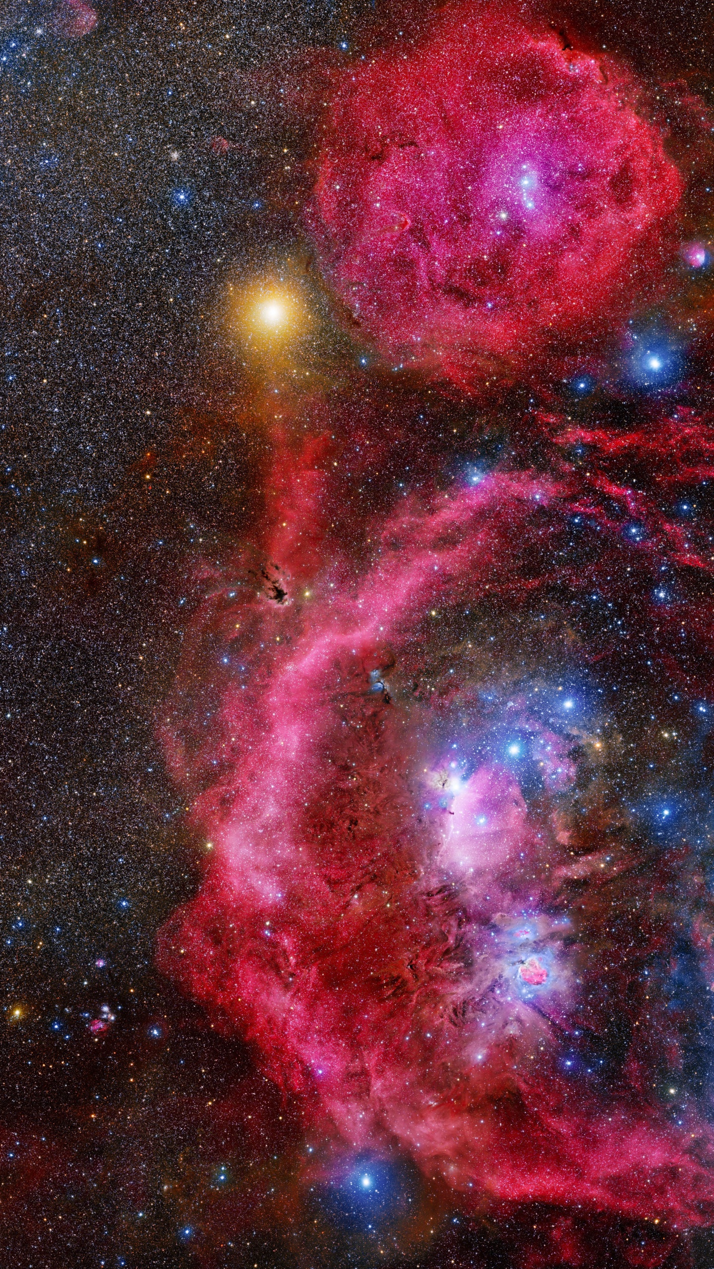 Обои туманность, Орион, звезда, Туманность Ориона, Астрономия в разрешении 1440x2560