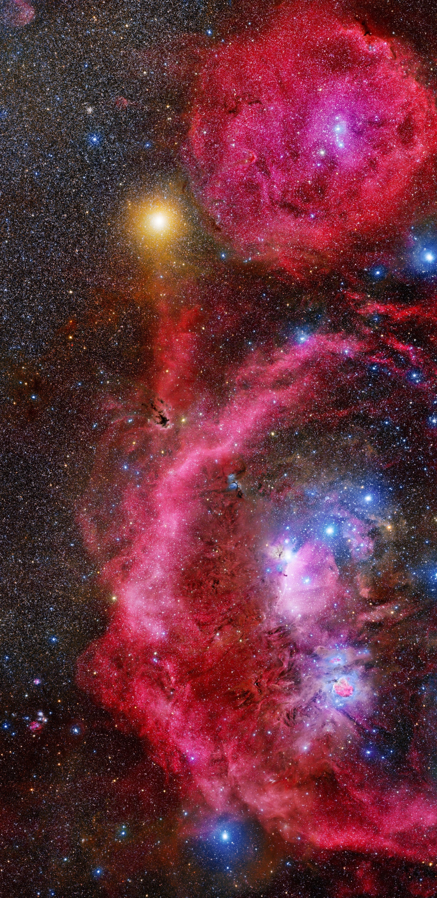 Обои туманность, Орион, звезда, Туманность Ориона, Астрономия в разрешении 1440x2960