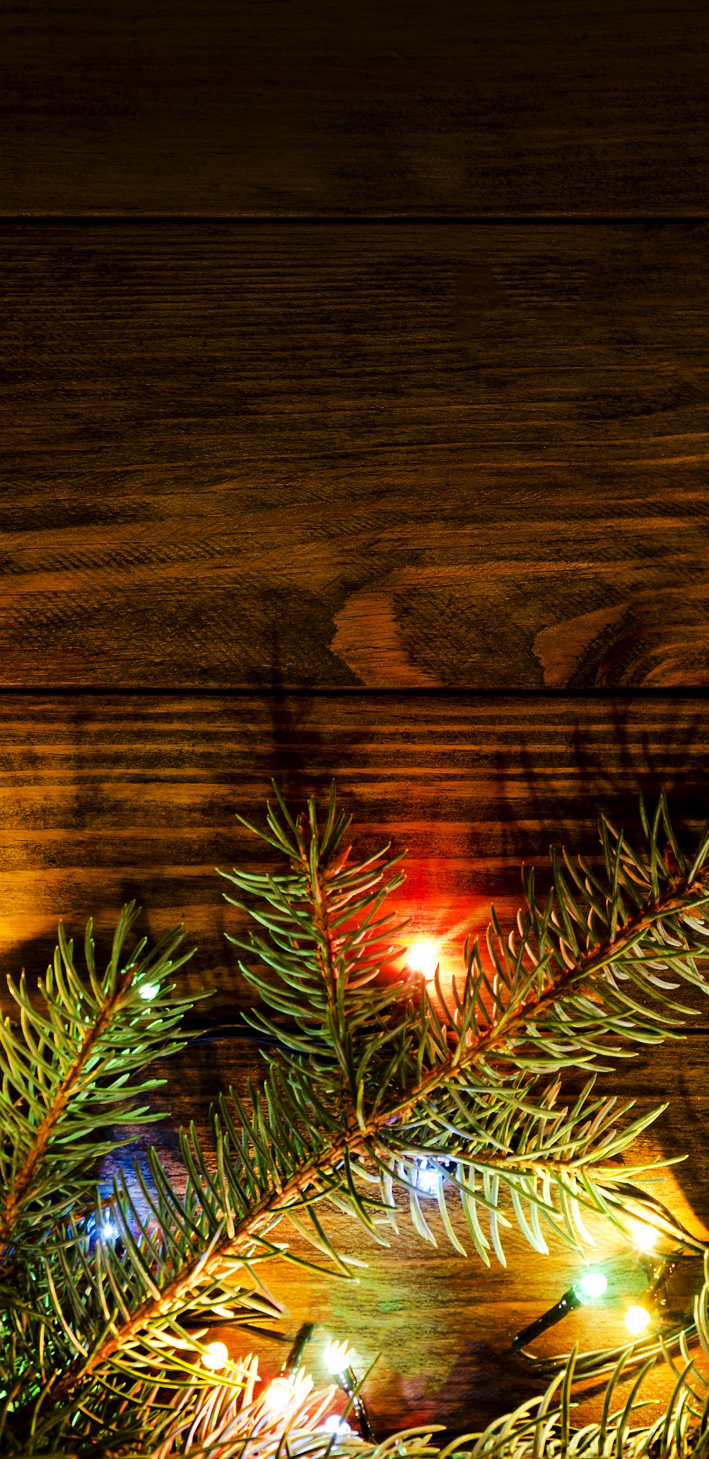 Обои Рождественский день, Рождественские огни, дерево, свет, освещение в разрешении 1440x2960
