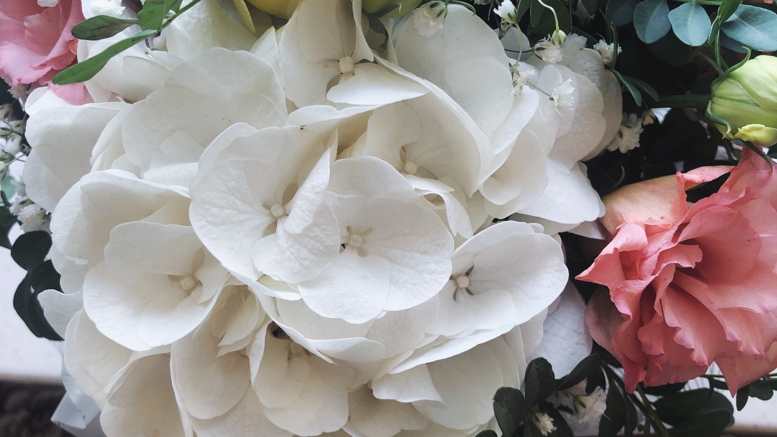 Обои цветочный букет, цветочный дизайн, лепесток, цветок, розовый в разрешении 2560x1440