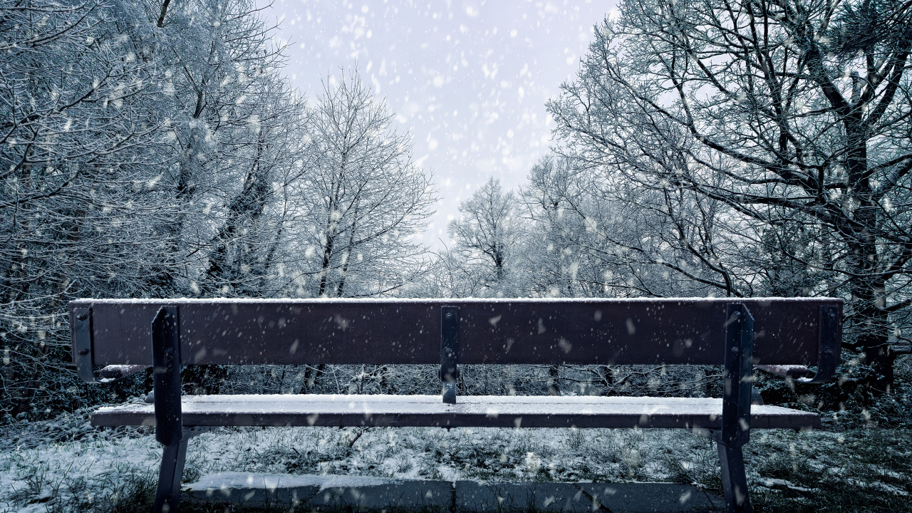 Обои снег, зима, дерево, замораживание, природный ландшафт в разрешении 1280x720