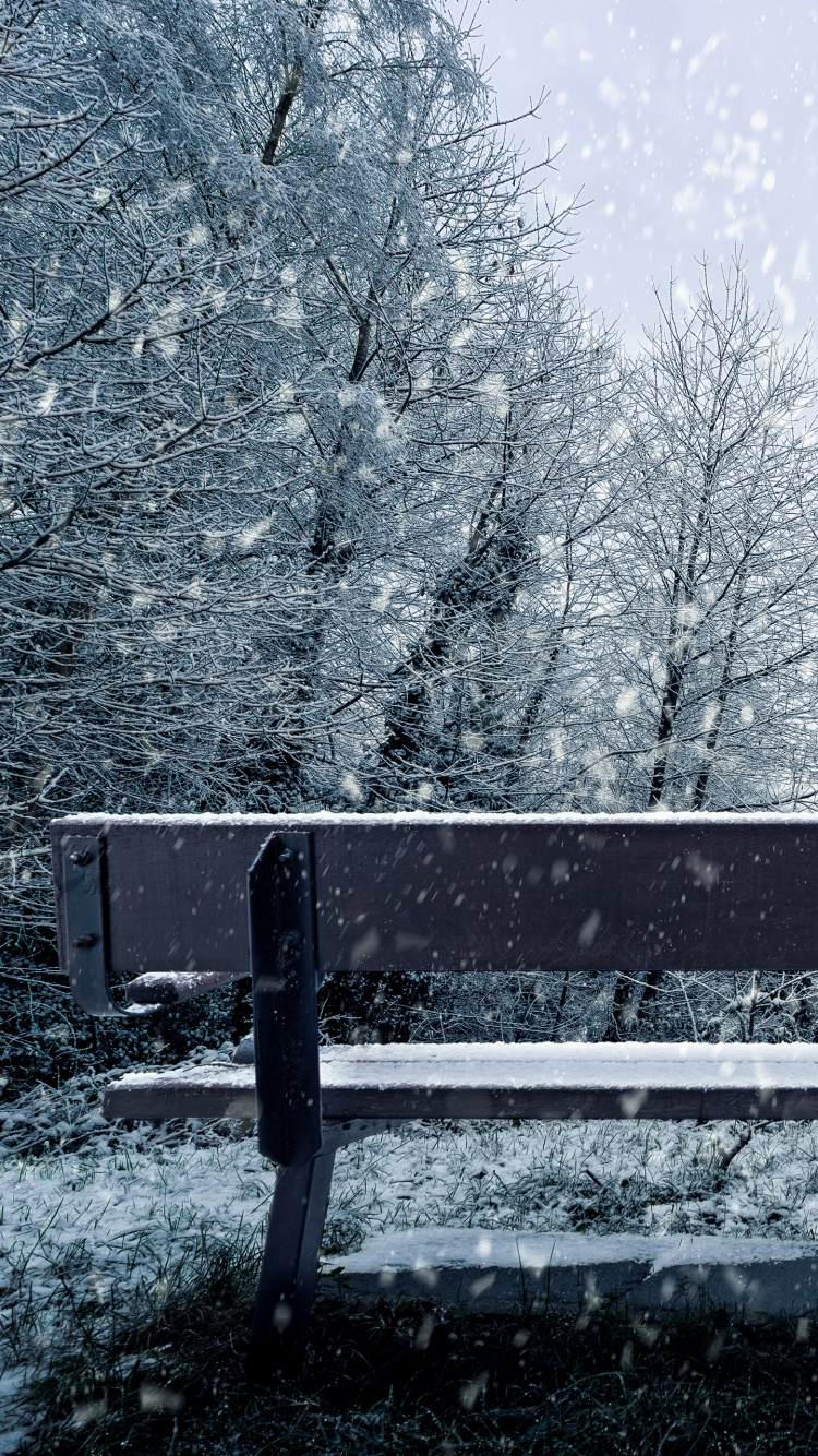 Обои снег, зима, дерево, замораживание, природный ландшафт в разрешении 750x1334