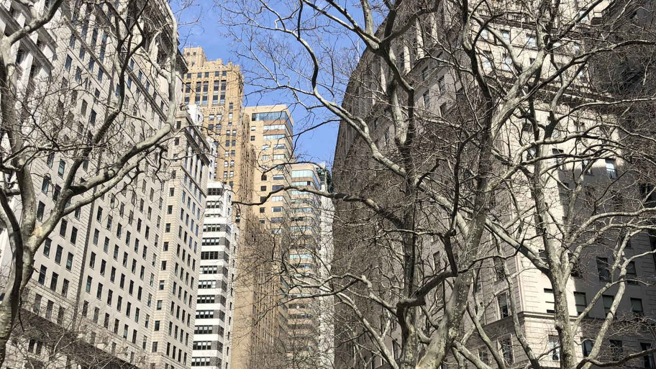 Обои Нью-Йорк, городской район, соседство, архитектура, город в разрешении 1280x720