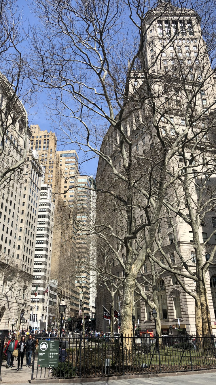 Обои Нью-Йорк, городской район, соседство, архитектура, город в разрешении 750x1334