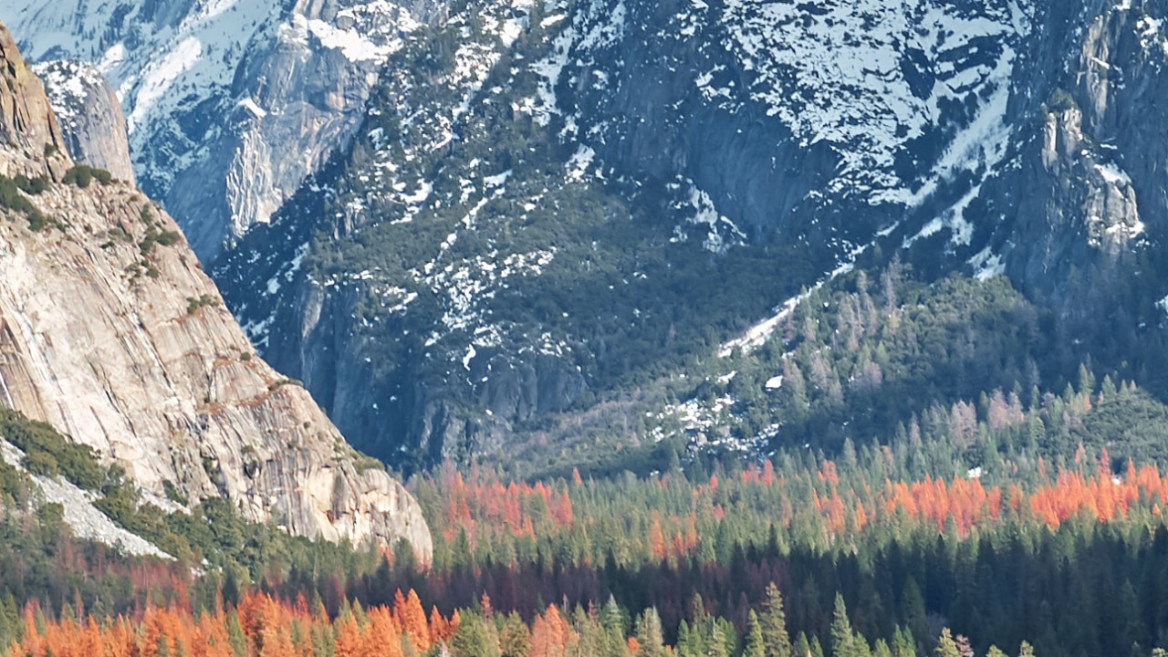 Обои йосемитский национальный парк, Вид На Тоннель, национальный парк шенандоа, Национальный Парк Нормандские Острова, национальный парк в разрешении 1280x720