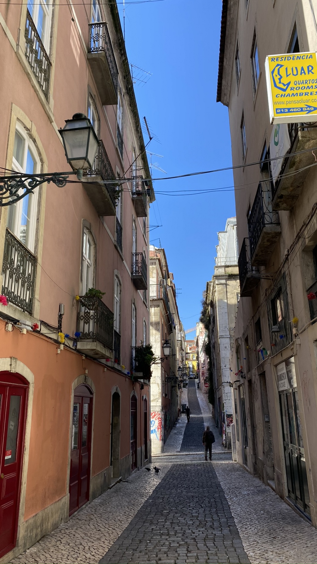 Обои аллея, дорога, городок, архитектура, соседство в разрешении 1080x1920