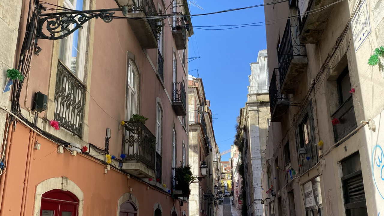 Обои аллея, дорога, городок, архитектура, соседство в разрешении 1280x720