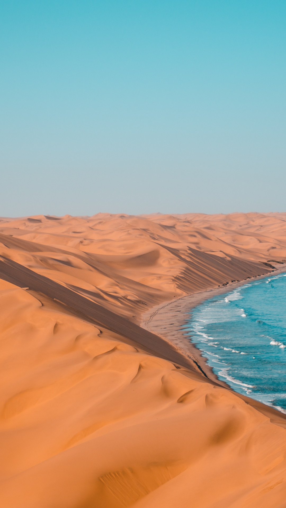 Обои туризм в намибии, национальный парк этоша, Ботсвана, путешествие, сафари в разрешении 1080x1920