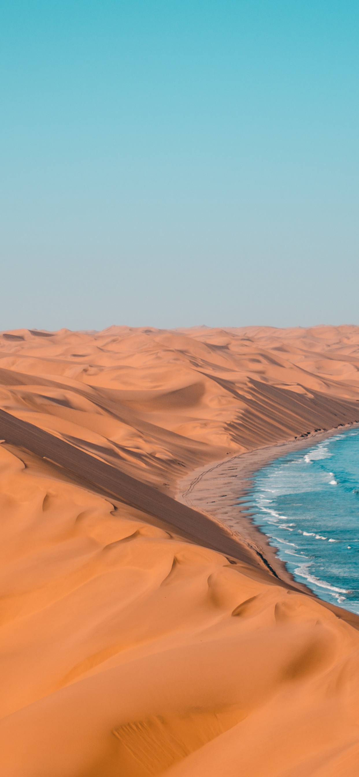 Обои туризм в намибии, национальный парк этоша, Ботсвана, путешествие, сафари в разрешении 1242x2688