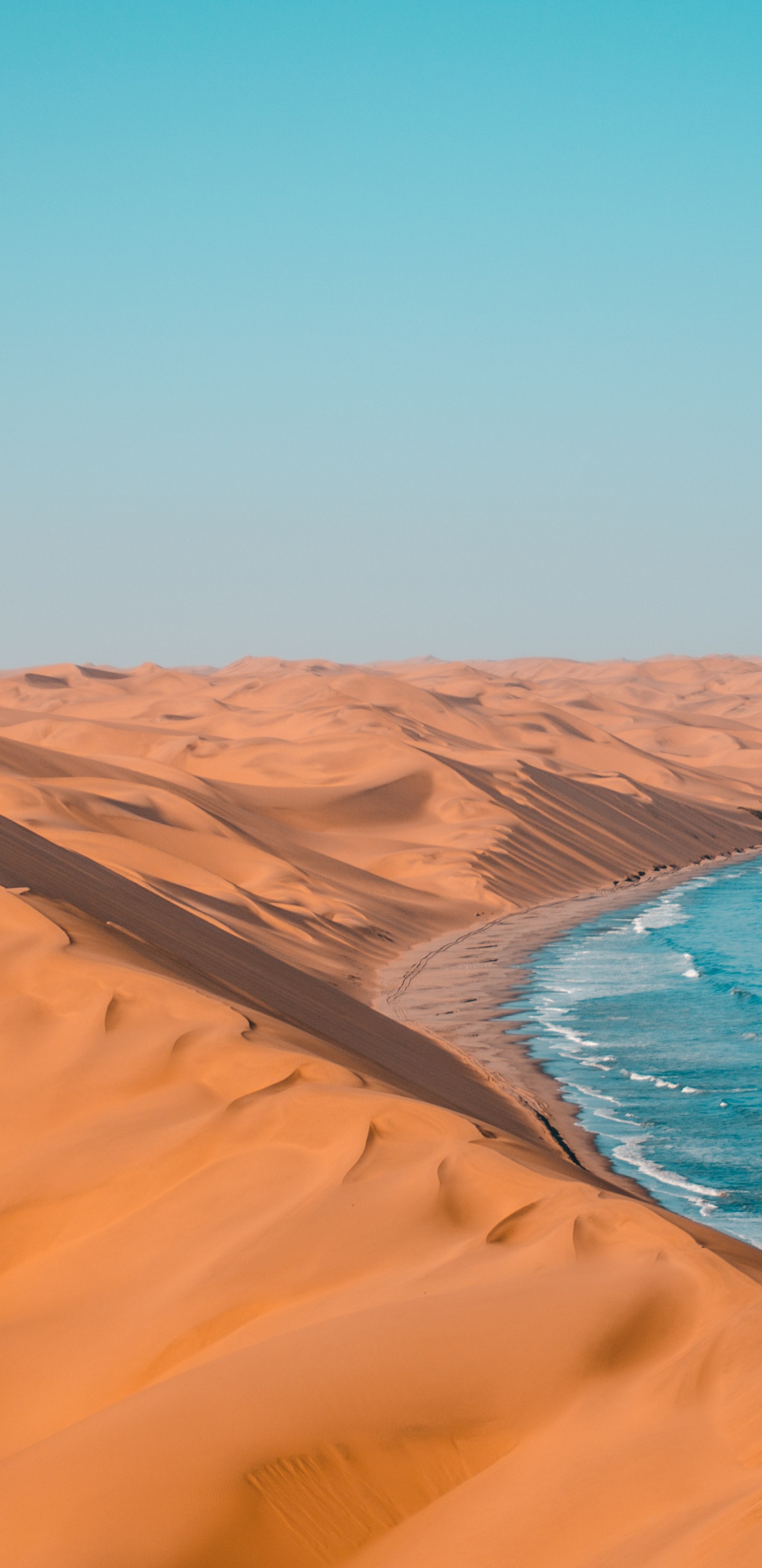 Обои туризм в намибии, национальный парк этоша, Ботсвана, путешествие, сафари в разрешении 1440x2960