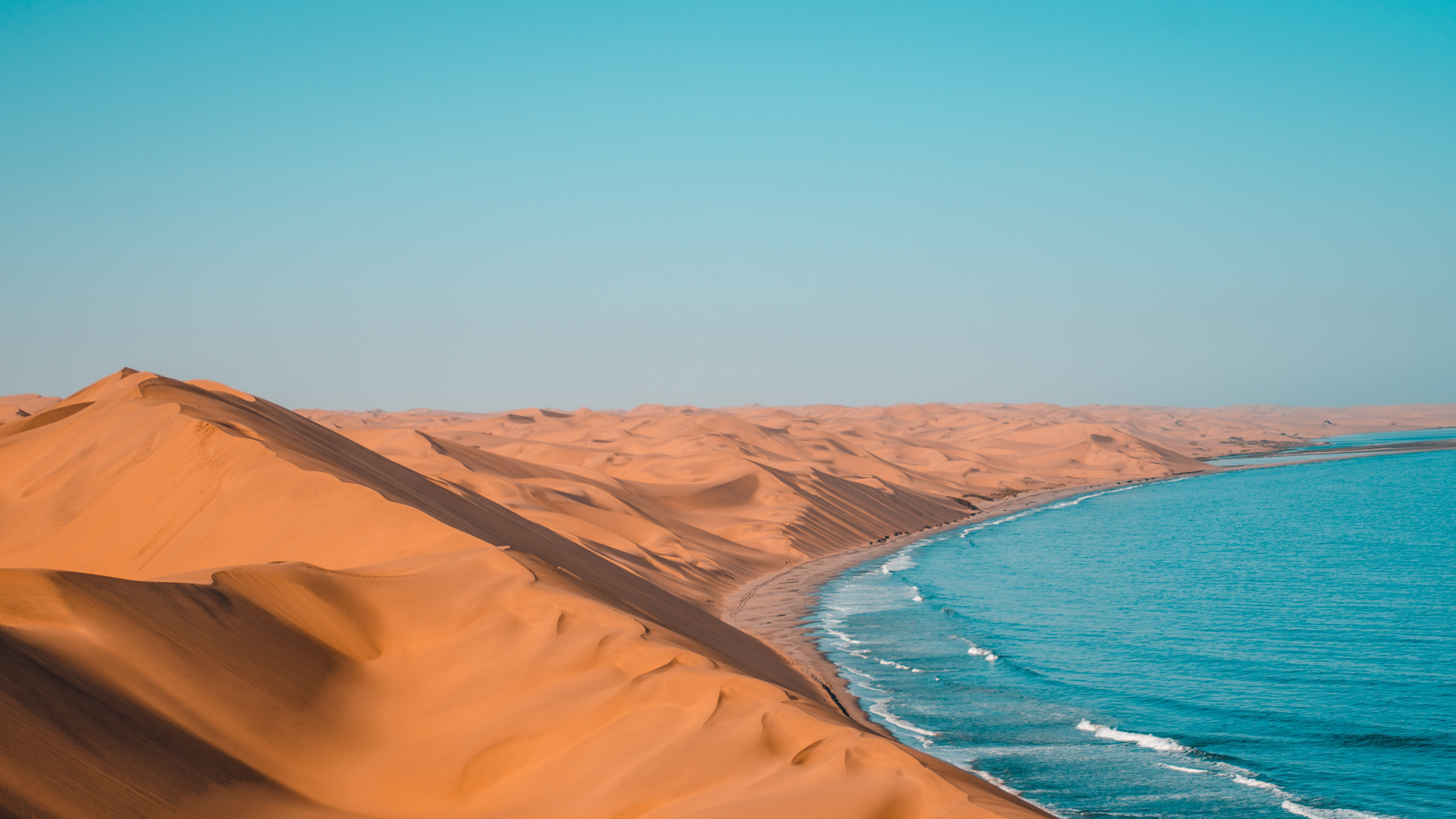 Обои туризм в намибии, национальный парк этоша, Ботсвана, путешествие, сафари в разрешении 2560x1440