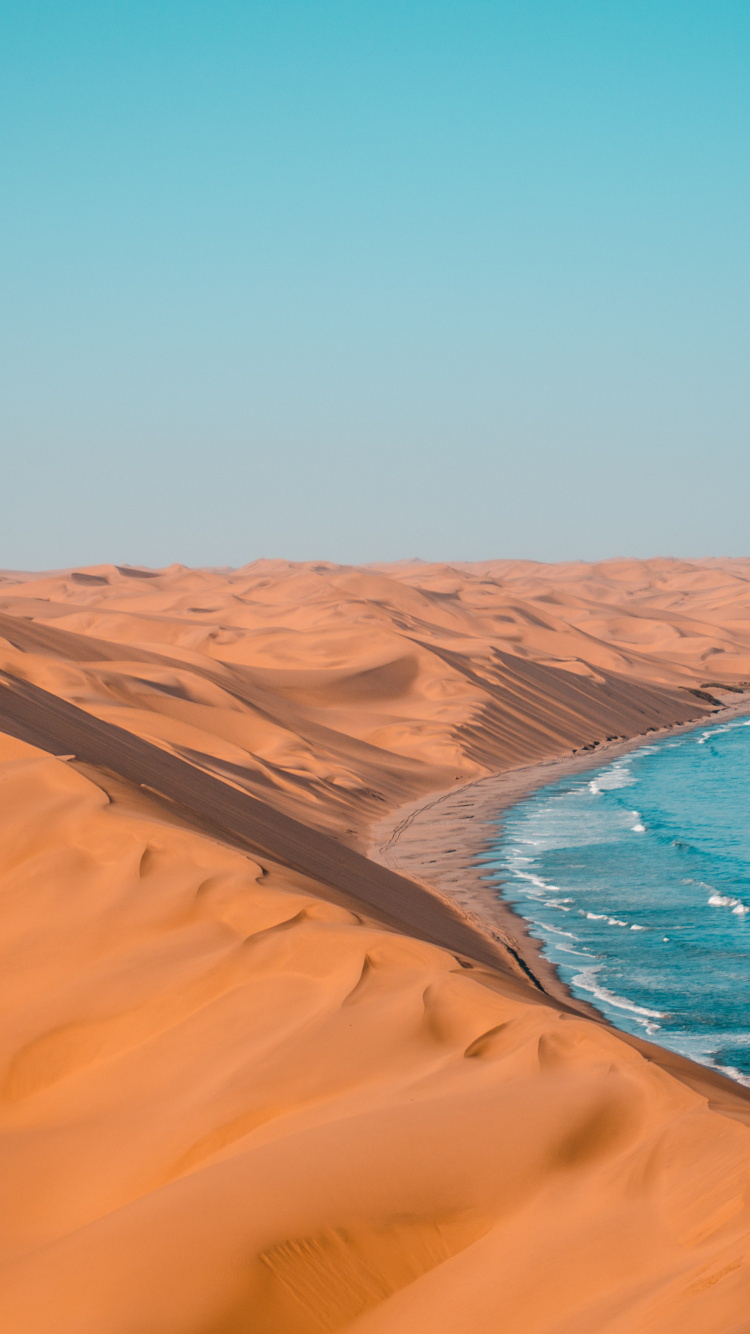 Обои туризм в намибии, национальный парк этоша, Ботсвана, путешествие, сафари в разрешении 750x1334