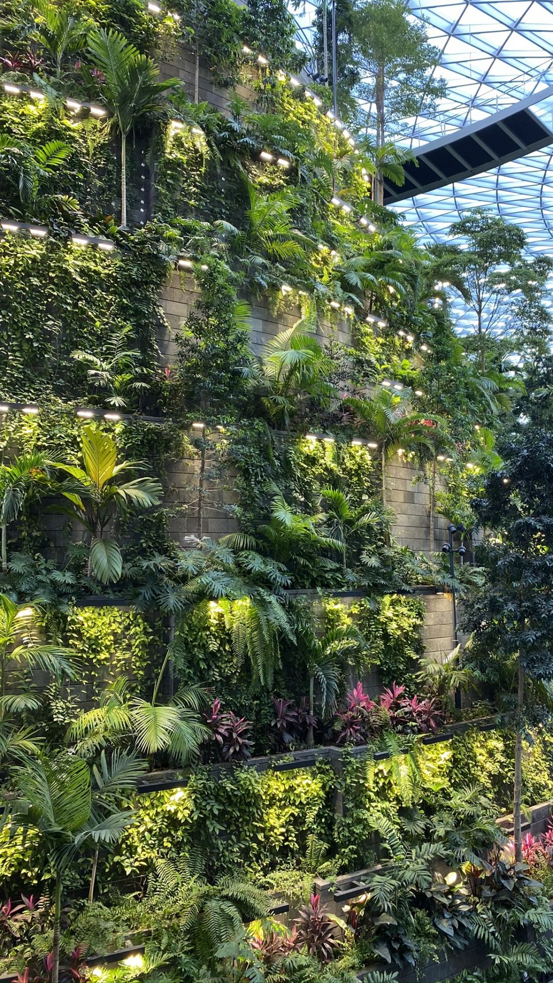 Обои растительность, Ботанический сад, биом, пейзаж, сад в разрешении 1080x1920