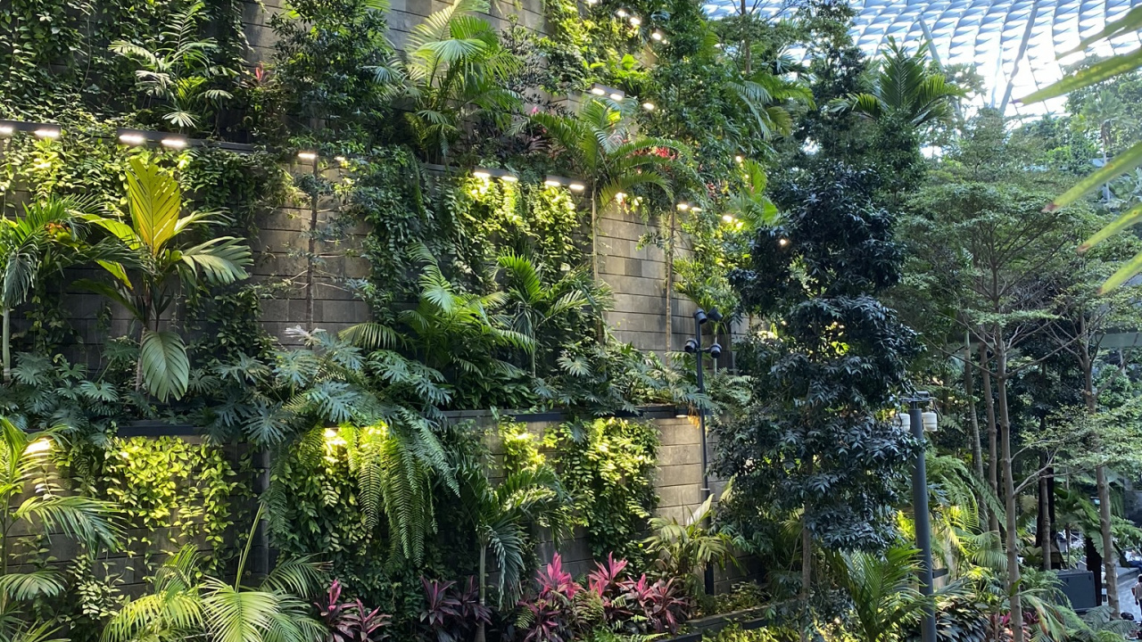 Обои растительность, Ботанический сад, биом, пейзаж, сад в разрешении 1280x720