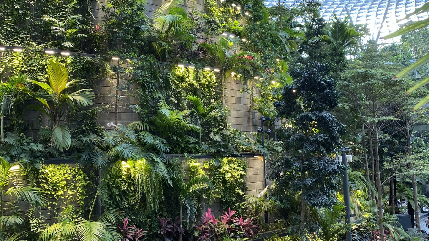 Обои растительность, Ботанический сад, биом, пейзаж, сад в разрешении 1366x768
