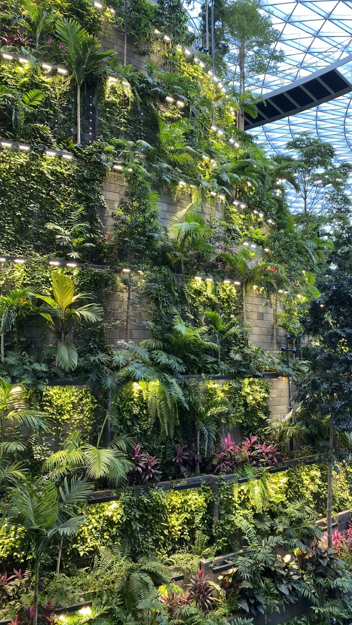 Обои растительность, Ботанический сад, биом, пейзаж, сад в разрешении 720x1280