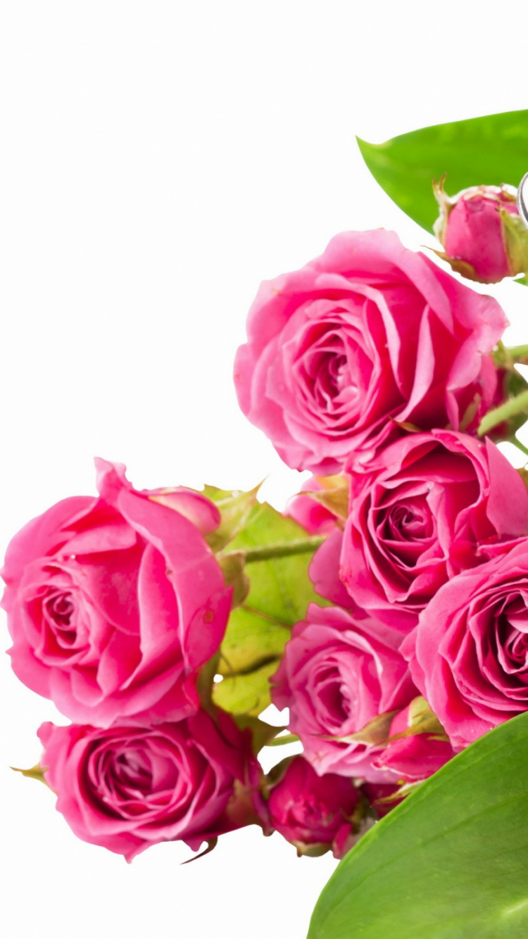 Обои цветение чай, чай, Роза, завтрак, чашка в разрешении 750x1334