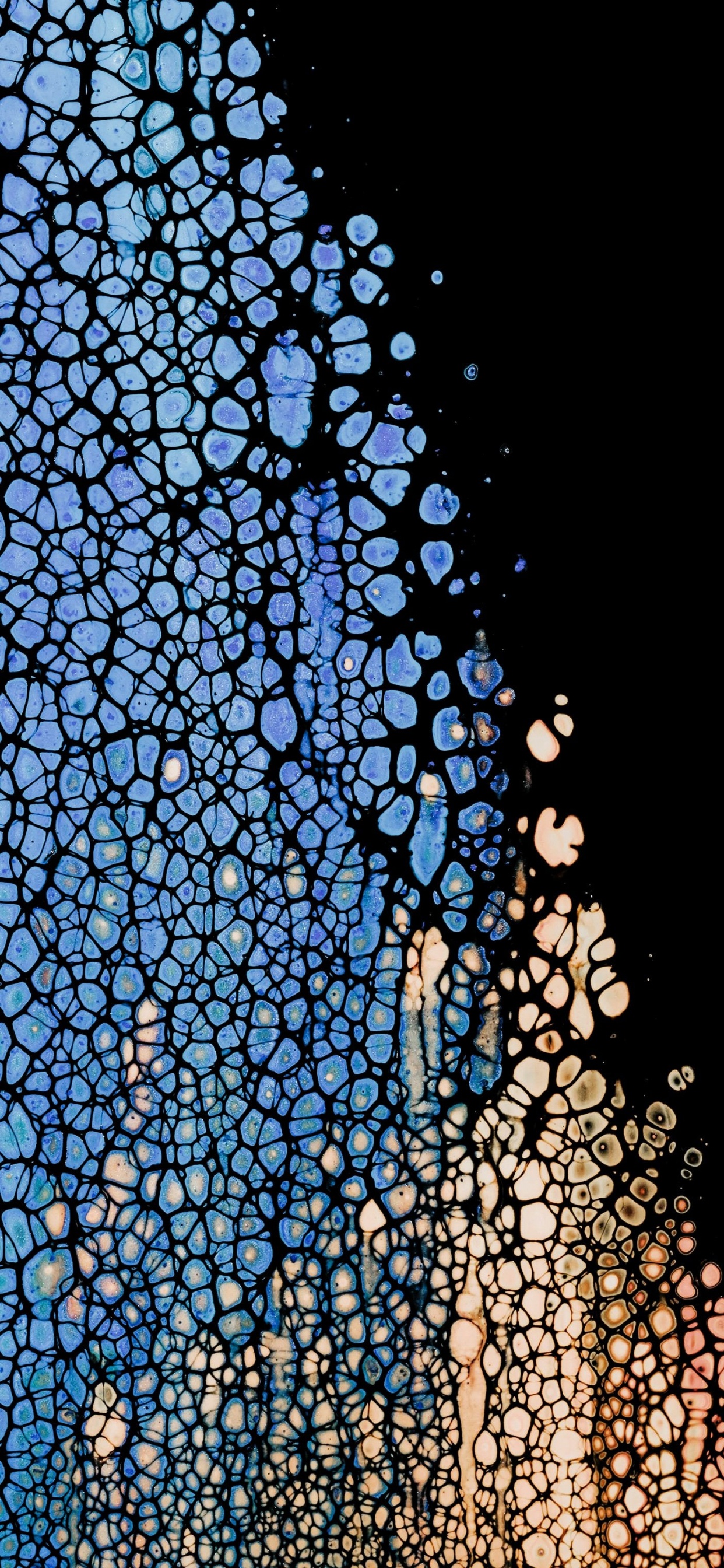 Обои амолед, OLED, яблоко, ios, узор в разрешении 1242x2688