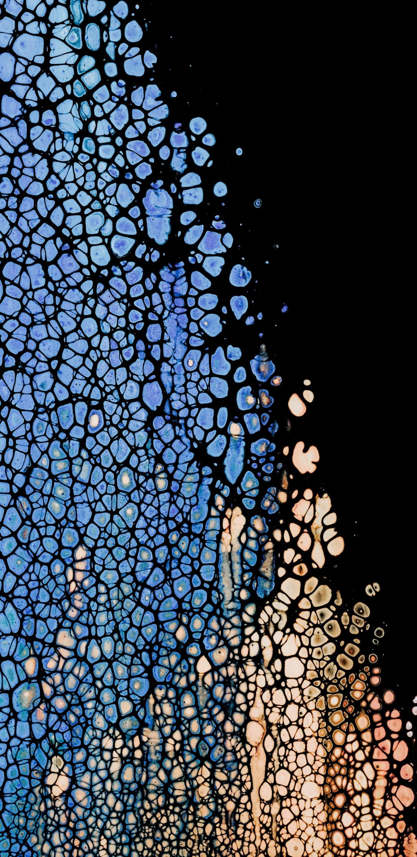 Обои амолед, OLED, яблоко, ios, узор в разрешении 1440x2960