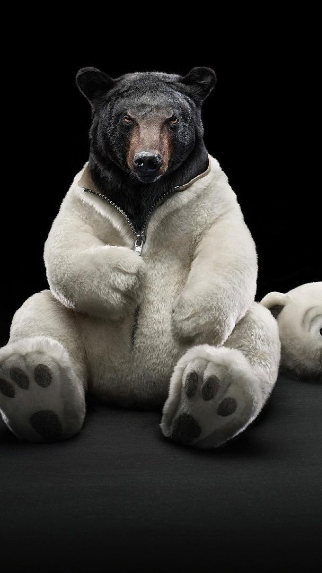 Обои медведь, морда, наземные животные, плюшевый мишка, белый медведь в разрешении 1080x1920