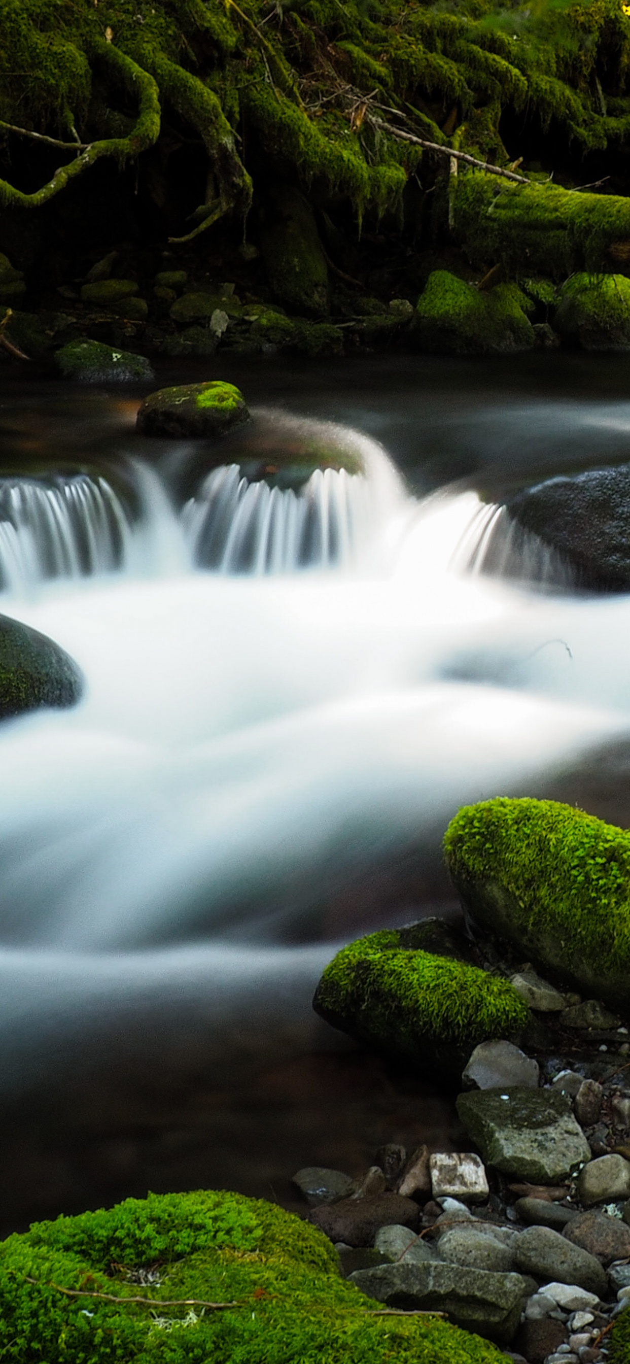 Обои gory oblaka, вода, гидроресурсы, растение, экорегион в разрешении 1242x2688